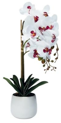 Henriette Orchidea Artificiale in Vaso Bianco, Fiori Finti BianchiReal Tocuh con Dettagli Rosa, Decorazione Floreale da Interno