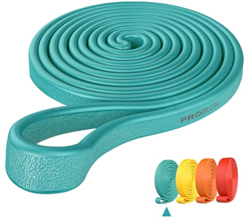 PROIRON Ultra Comfortable Resistance Bands/Pull Up Bands, Super Stretch Loop Band Non Slip for Men Women Muscle Strength Training, Assist Pull Ups, Gym Fitness Exercise, Physio -2080mm Long