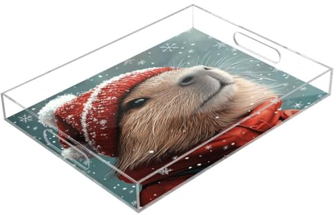 JUMBEAR Joli plateau de service Capybara en acrylique transparent pour servir des aliments, restauration, fêtes, mariages, anniversaires – Plateaux à sandwich et buffets