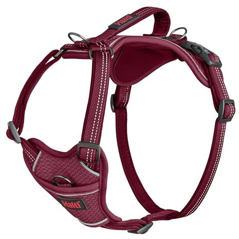 HALTI Anatomy Dog Harness with Handle - Provides Your Dog Freedom of Movement for Comfortable Walking. 3 Lead Attachment Points, Neoprene Padded, Adjustable, and Reflective (Size Medium, Magenta)