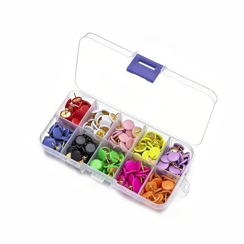 300 Pièces Punaises Colorées, Punaises Rondes Plates, Attaches en Plastique à Tête Ronde Épingles Carte Colorées avec Boîte de Rangement Transparente, pour Bureau, École et Maison, 10 Couleurs