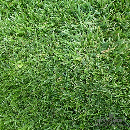 Grassamen Rasensamen Gerbrauchsrasen für Trockenlagen RSM 2.2.1 (5 kg)