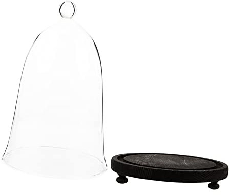 Alipis 1set Eternal Flower Glass Cover Creative Dome and Base Landscape Display for Home Decor Table Centerpiece and Artistic Arrangements