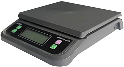 SdaryWare Balance électronique de Cuisine numérique de Haute précision en Plastique ABS (Noir-10kg/1g)