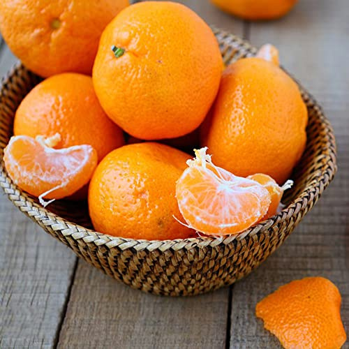 orangenbaum hochbeet balkon biosaatgut winterharte kübelpflanzen dachbegrünung mandarinenbaum balkongarten zimmerpflanzen Citrus gartenpflanzen dekopflanzen zwergobstbäume bonsaibaum 400samen