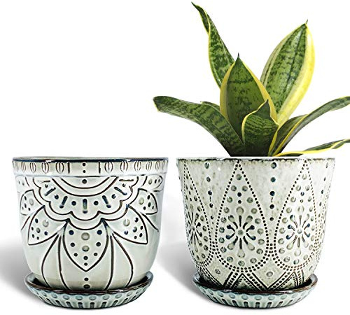 Lot de 2 pots de fleurs en céramique de 15,2 cm avec trou de drainage et soucoupe pour plantes, intérieur/extérieur, grand pot rond pour orchidée succulente Blanc fumé.