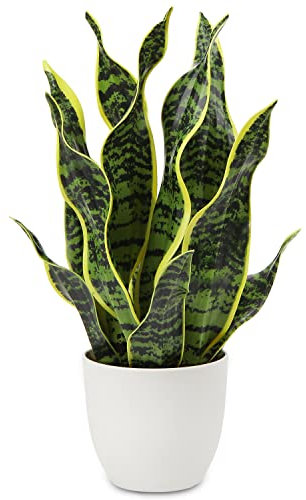 Hollyone 42CM Artificial Snake Plant in White Pot, Fake Potted Plant for Table, Yellow and Green Faux Sansevieria for Home Decor, Kitchen, Bathroom, Living Room, Shelf Decorations