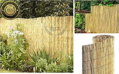 BPIL Garden Natural Peeled Reed Screening Roll Fence (H: 1M x L: 4M) – Eco-Friendly, Durable Privacy Screen for Garden, Patio & Backyard, Easy Installation, Multipurpose Fencing Roll