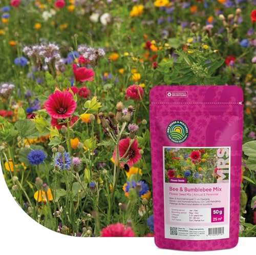 Bienen- und Hummelmischung ein- und mehrjährig - 1 Kilo für 500 m² - Blumensamen für Hummeln, Wildbienen und Honigbienen - Für eine bunte, ökologische Bienenoase - Wildblumensamen