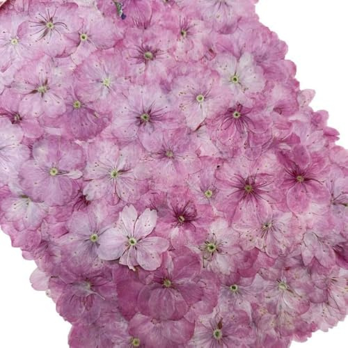 Fiori Secchi per Resina, Decorativi, Candele e Decorazioni Epossidiche - Fiori Secchi Decorativi, Flowers Naturali Misti Set, Pressati Fiori Pressati Secchi, Fiori Pressati Secchi Per scrapbooking