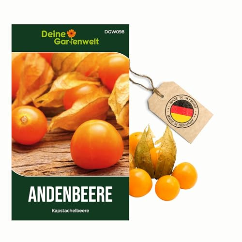 Physalis Andenbeere Kapstachelbeere Samen - Physalis peruviana - Andenbeerensamen - Obstsamen - Saatgut für 50 Pflanzen – 3er Pack