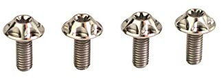 SILCA Titan-Wasserflaschenhalter-Schrauben | 4er-Set | Kundenspezifischer breiter Flachrundkopf T25
