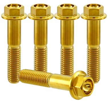 RISON-Titanium Sechskantschrauben mit Flansch M8x1.25x25mm, 5 Stück Titanschrauben Sechskant Kopf Schrauben, Flanschschrauben Titanbolzen Maschinenschrauben für Motorrad, Fahrrad Modifikation