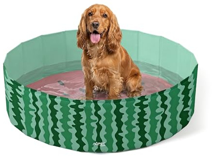AQPET AqpetFriends Schwimmbad aus Kunststoff für Hunde, Haustiere, faltbar, für den Garten 160 x 30 cm (ØxH)