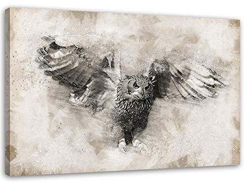 Feeby Bilder Eule Natur 60x40 cm 1 Teilig Wohnzimmer Schlafzimmer Büro Flur Küche Wandbilder Leinwandbilder Modern Bild auf Leinwand Wanddekoration Kunstdruck Design Vintage Schwarz und Weiß