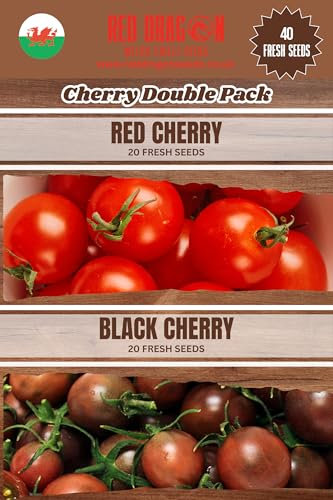 Cherry Tomato Seeds Double Pack - Red Cherry and Black Cherry Tomato Seeds - 40 Fresh Seeds