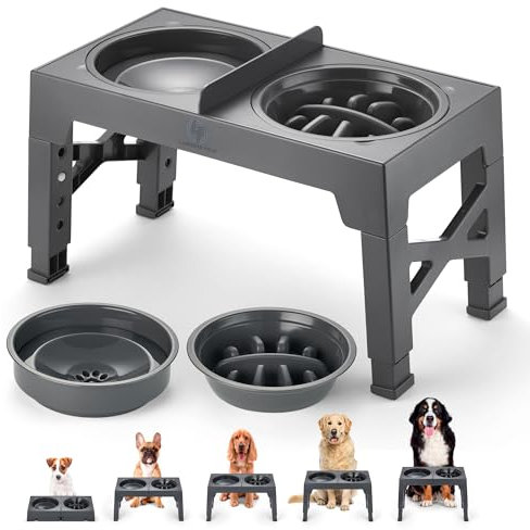 Raised Dog Bowls with Stand, Dog Feeding Station, Non-Spill and Slow Feeder bowls with Divider