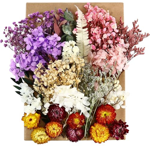 3 Boxes Natural Dried Flowers Set, Mixed Pressed Dried Flowers and Leaves, Multiple Real Decorative Flowers for DIY Art Craft Jewelry Candle Soap Phone Case Scrapbooking Nail Stickers Floral Decors