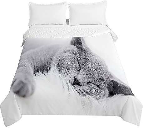 Chickwing Chickw1 Tagesdecken Bettüberwurf, 3D Süße Katze Drucken Sommer Tagesdecke mit Prägemuster Wohndecke aus Mikrofaser Bettdecke für Einzelbett Doppelbett oder Kinder (Graue Katze,200x230cm)