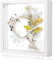 Mozvvco Marco de Fotos 3D, Marcos con Profundidad 20x20cm Blanco Marcos Cuadros Caja Fotos para Flores, Fotos, Recuerdos, Portafotos Marco 3D, Marco para Flores Secas para Decoración del Hogar