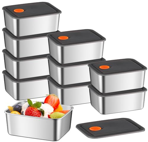HFZCV 10 Stück Frischhaltedosen mit Deckel, 304 Edelstahl Frischhaltedosen 600 ml, Wiederverwendbar Gefrierdosen, Auslaufsichere Bento Lunchbox für Käse, Obst, Salate, Süßigkeiten und Marmeladen