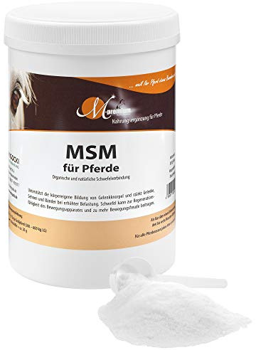 MIGOCKI MSM für Pferde Einzelfuttermittel 850 g