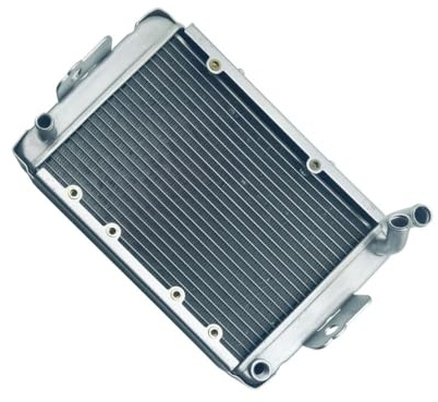Macchina di raffreddamento del radiatore ad acqua adatta for LINHAI 300 400cc ATV Linhai LH300 CUV 4WD OEM 22904t 170M-A.11.