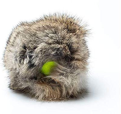 Mystique Rabbit Cover mit Tennis Ball