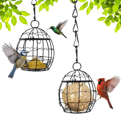 Sunshine Smile Lot de 2 Mangeoires à Suspendre pour Oiseaux Sauvages - Accessoire d'Alimentation pour Jardin