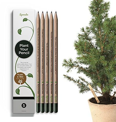 SproutWorld Bleistifte | Plant A Tree | Pflanzbare Graphit Bleistifte mit Fichtenbaumsamen | Eco-Friendly Bio Holz | Nachhaltiges Geschenk Eingraviert mit Inspirierenden Zitaten | 5 stk