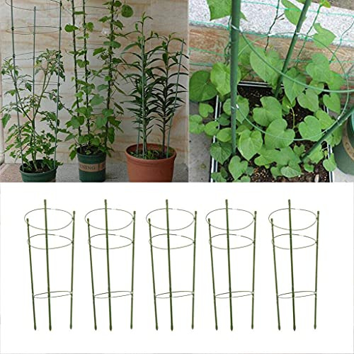 5er Set Rankhilfe Tomaten Metall 45/60 cm, witterungsbeständige Garten Rankhilfe für Rosen und Blumen, grün (H: 60cm)