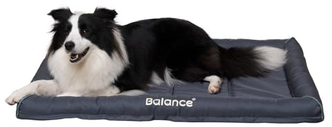 BALANCE Oxford Dog Bed for Large Dogs, Waterproof Dogs Crates Pad Outdoor Dog Crate Mat, Wipe Clean & Easy Rinse, 36 inch