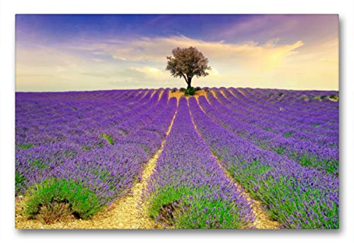 Premium Textil-Leinwand 90 x 60 cm Quer-Format Traum-Ziele - Lavendel der Provence, Frankreich | Wandbild, HD-Bild auf Keilrahmen, Fertigbild auf hochwertigem Vlies, Leinwanddruck von Peter Roder