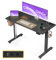 OffiGo Höhenverstellbarer Schreibtisch, 120cm Schreibtisch Höhenverstellbar Elektrisch mit USB, Standing Desk mit 2 Memory Funktion, Elektrischer Tisch für Büro, Zuhause, Schwarz
