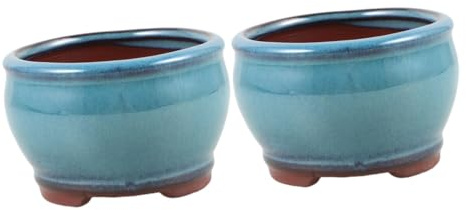 YARNOW 2 Pz Pianta Succulenta Di Asparagi in Vaso Fioriera Per Bonsai Vaso Decorativo Vaso Da Fioriera Da Tavolo Vaso Da Fiori Da Tavolo Vaso Per Piante Grasse Da Argilla Viola