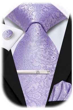 Hi-Tie Lilac Lavender Mens Ties Silk Paisley Ties for Men 4 PCS Necktie and Pocket Square Cufflinks Clip Pin for Wedding