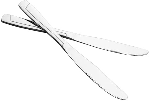 Cand Stainless Steel Dinner Knives, Set of 16, Flatware Table Knife Set