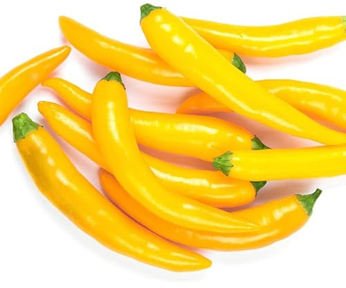 Pepper Joe's Golden Cayenne Pepper Seeds – Pack of 10+ Hot Chili Seeds – USA Grown – Rare Cayenne Seeds for Planting