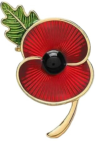 2025 Red Flower Brooch Remembrance Gift Women Men Fashion Jewellery Enamel Lapel Pin