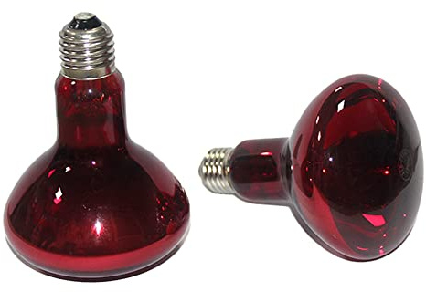 Darmlly Confezione da 2 lampadine riscaldanti per rettili da 100 W, anfibi a raggi infrarossi, lampadine riscaldanti per tartarughe, lucertole e molto altro ancora.