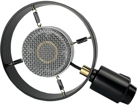 Hkfgdjdl Antique Vintage Classical Cinema Theater Auditorium Speech Live Vocal 26mm Big Diaphragm Condenser Microphone Replacement