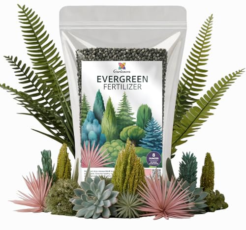 𝐁𝐄𝐒𝐓𝐒𝐄𝐋𝐋𝐄𝐑 Premium 8-4-8 Acidic Fertilizer for Evergreens – All-Purpose Granular Plant Food for Outdoor Trees, Shrubs, Azaleas, Magnolias, Pines & Arborvitae – Slow-Release Formula (8 OZ)
