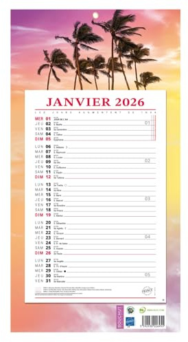 Bouchut Calendrier bloc mensuel à feuillets 2026 – 12 mois : janvier à décembre - Format : 19x36 cm - Visuel Aléatoire