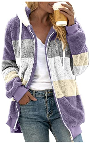 2023 Veste polaire Teddy Manteau Manches Longues Sans Capuche T-shirt Sweats à Capuche Pull Veste en Peluche Automne Casual Hauts Bloc de Couleur Sweatshirt, Violet 2., L