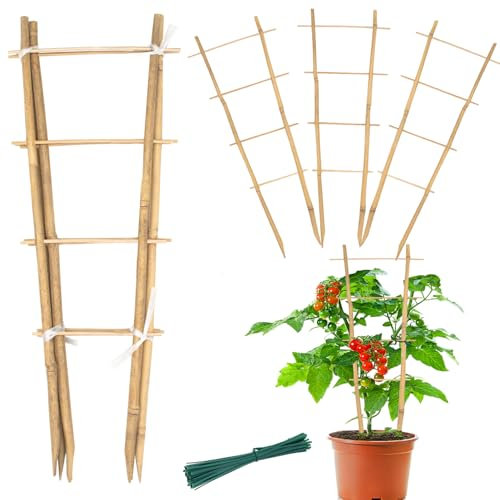 Lot de 6 treillis verticaux en bambou de 40,6 cm pour plantes grimpantes, orchidées, monstera et plantes d'intérieur en pot