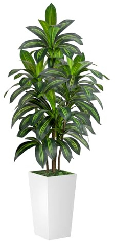 VIVATREES Dracaena Tree 5FT Artificial, 60in Tall Faux Dracaena Tree with 15.7 White Planter, Fake Potted Tree for Indoor & Outdoor Home Office Decor