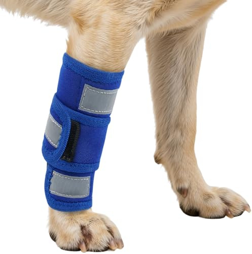 Kuoser Ellenbogenbandage Hund Vorderbein, Leckschutz Hund, Blau XXS/XS