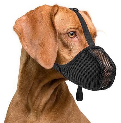 ILEPARK Maulkorb für Hunde, Weicher Netzmaulkorb, Verstellbare Passform für Kleine Mittelgroße Große Hunde, Bequem und Atmungsaktiv, Ermöglicht Keuchen und Trinken（M, Schwarz）