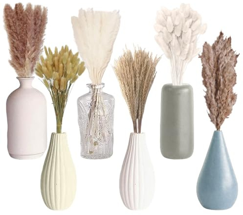 JOZMMZEOOA Fiori Secchi Decorativi per Vaso 120 Pezzi Fiori Essiccati di Bunny Tails Decorazione di Erba Della Pampa Adatta per Decorazioni Floreali per la Casa Stile BohéMien