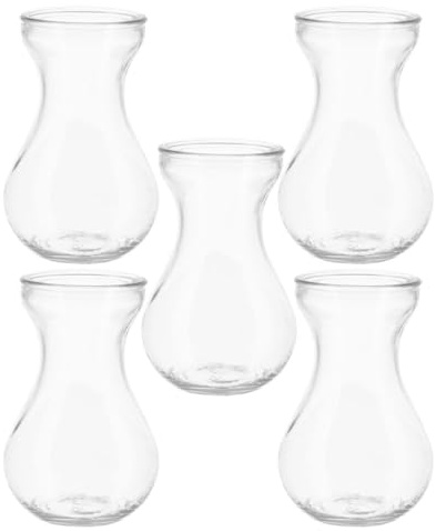 BATHVEVE Glass Vases for Hydroponic Plants and Hyacinth Bulbs, Small Glass Flower Vases for Home Office Decoration, 5pcs Set